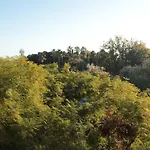 Archirafi פלרמו