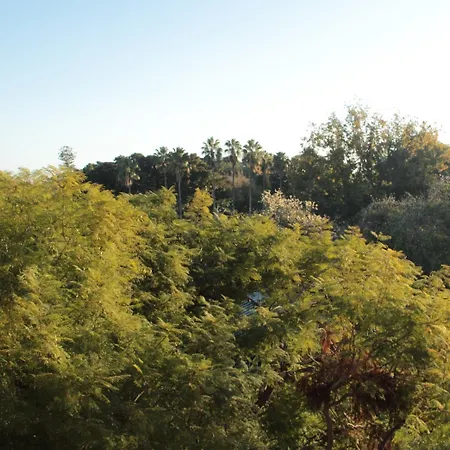 Archirafi باليرمو