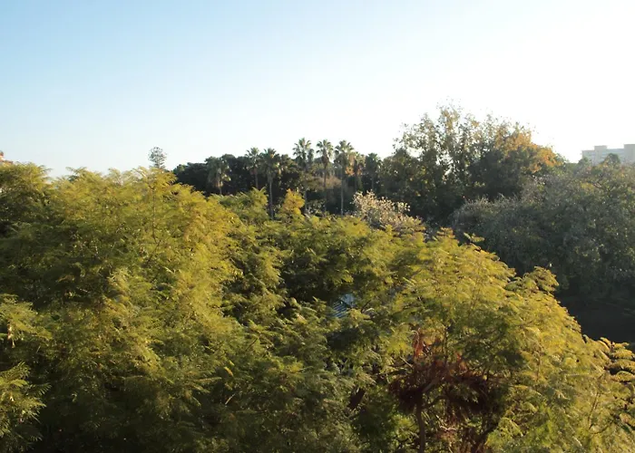 Archirafi باليرمو